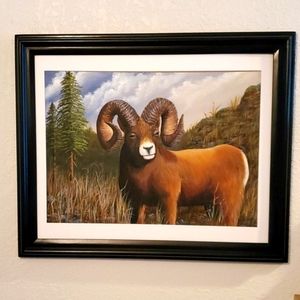 Origional Art Oil Painting  'Bighorn Sheep'